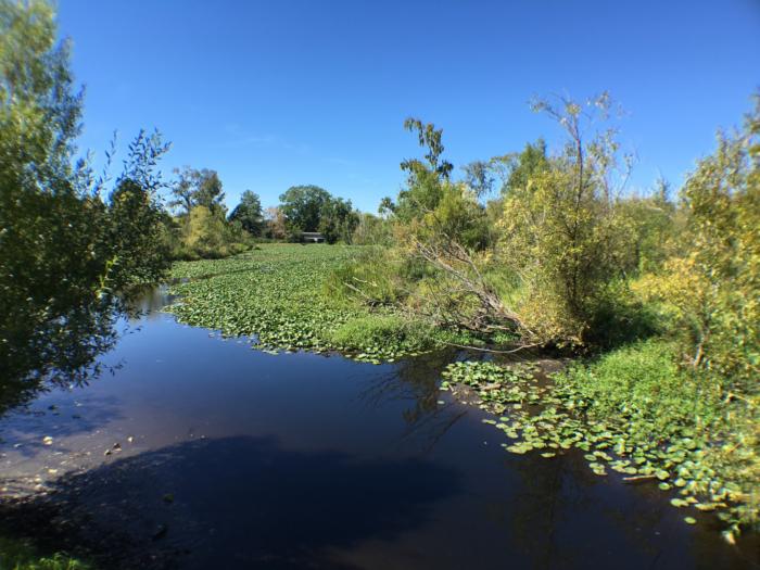 Olloclip 4-in-1 Lens wide-angle sample
