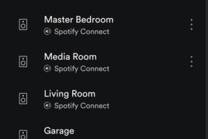 can echo dot use spotify