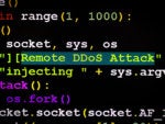 Application layer DDoS attacks rising