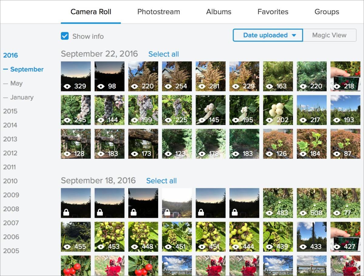 how to save videos on pinterest to camera roll