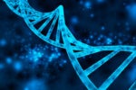 An Intro to Genetic Algorithms