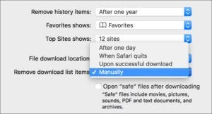 mac911 downloads setting safari