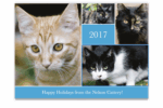 How to create custom greeting cards in Photos for Mac