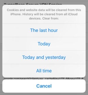 privatei erase ios safari history