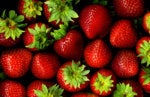 IoT in agriculture: farming gets ‘smart’