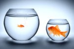 6 ways to improve data management and interim operational reporting during an M&A transaction