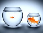 6 ways to improve data management and interim operational reporting during an M&A transaction
