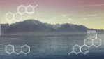 Why you need Rainmeter even in a business setting