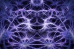 Which deep learning network is best for you?