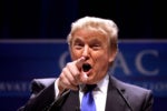 WikiLeaks urges hackers to leak Trump's tax returns