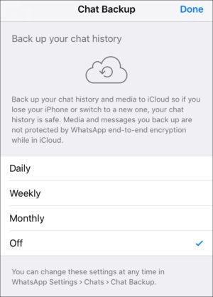 privatei whatsapp icloud storage