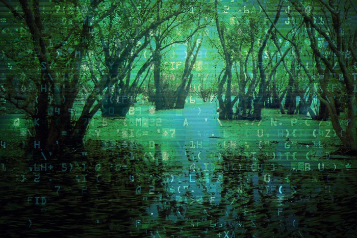 swamp data