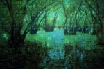 If your data lake turned into a data swamp, it might be time to take the next step