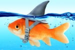 12 steps to small business security