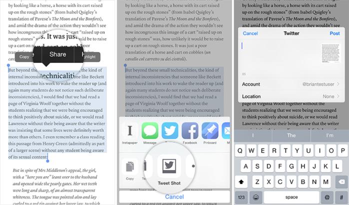 instapaper tweet shot