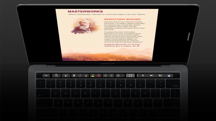 word focus mode on macbook pro touch bar