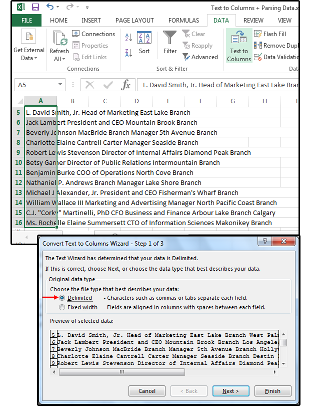 08 select delimited from the text to columns wizard step 1