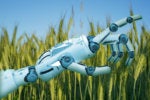 The cost and sustainability of generative AI