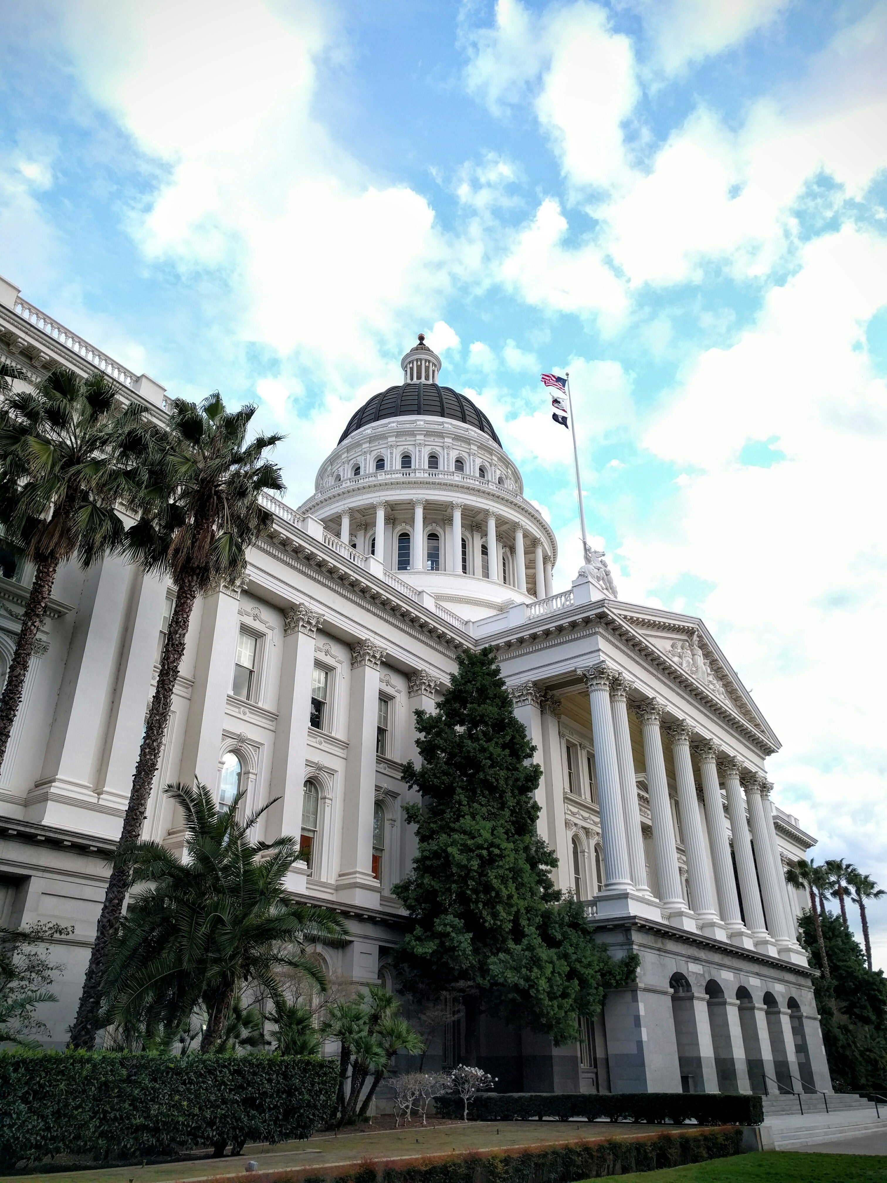 capitol sunlight