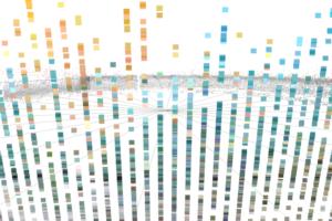 Which API management tools work best?