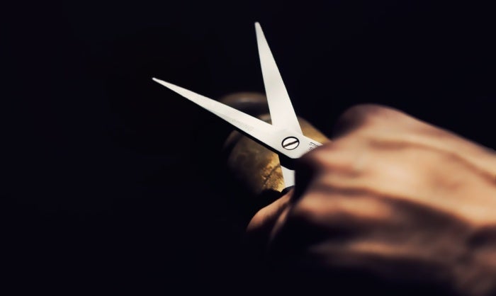scissors cut trim chop