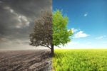 How to narrow the CMO-CIO divide