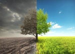 How to narrow the CMO-CIO divide