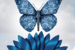 5 myths about digital transformation