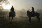 The Knights Fork: Hunting the hunter