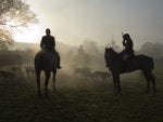 The Knights Fork: Hunting the hunter