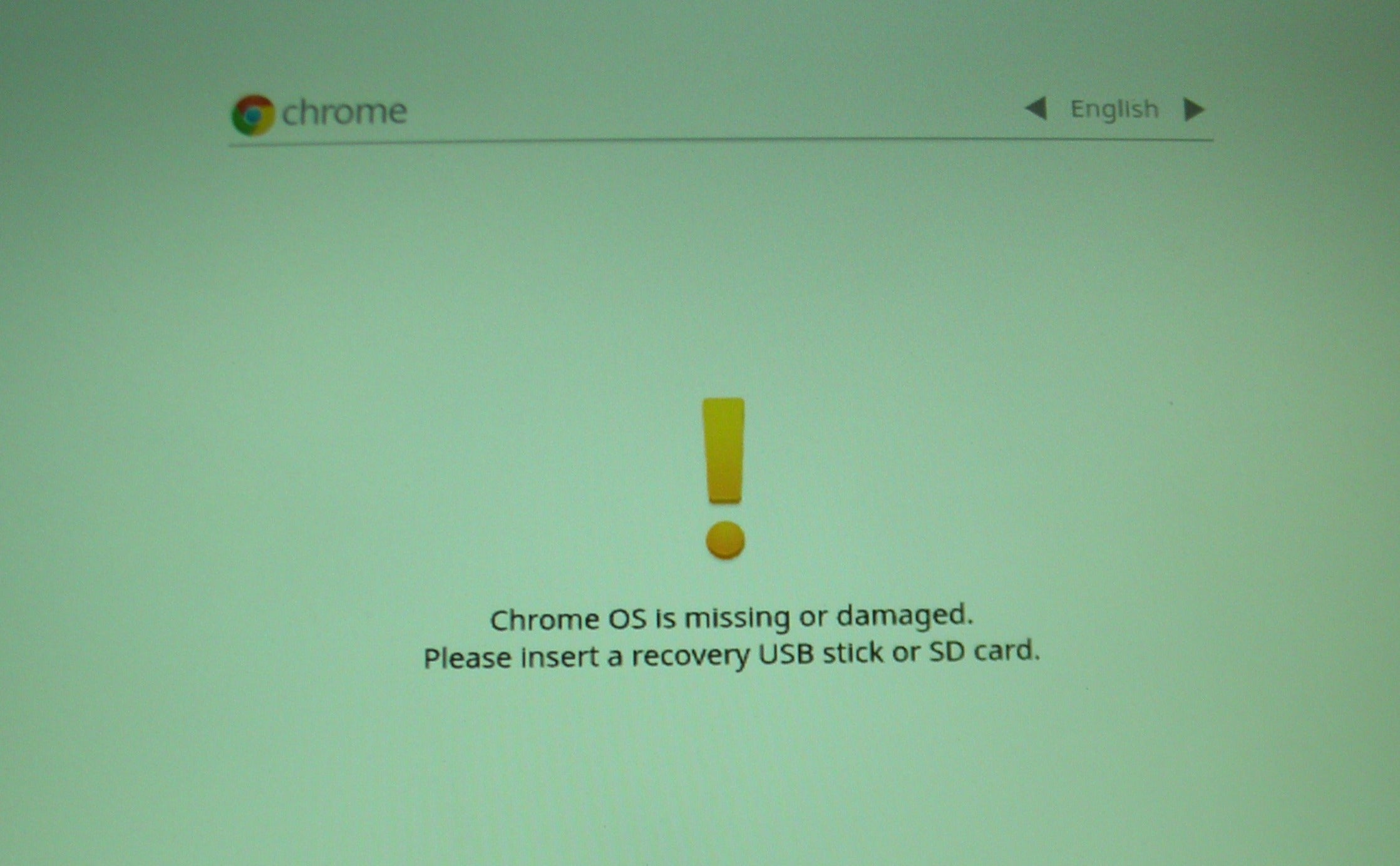 chrome vimeo