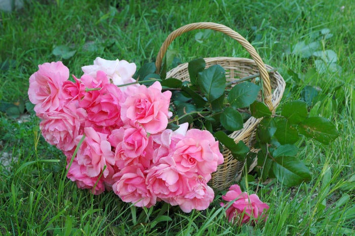 flowers roses basket bouquet