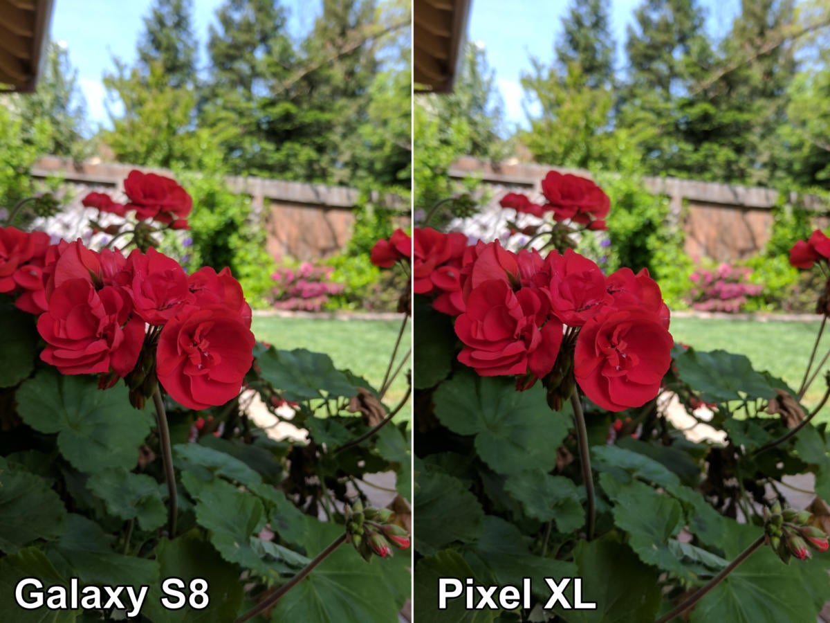 galaxy s8 pixel flower2 compare