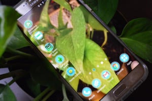 gardening apps