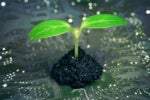 Data center sustainability becoming the norm, not the exception