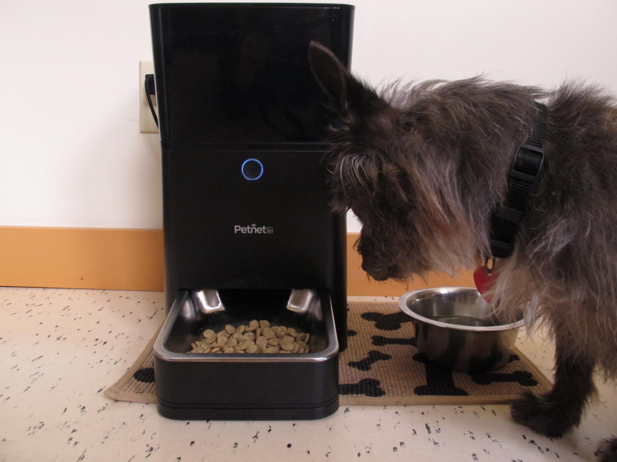 Petnet Smartfeeder Review Robot Pet Feeder Meets Smartphone App