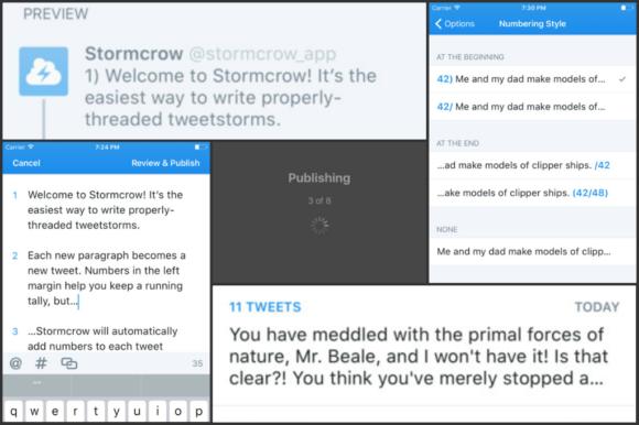 stormcrowcollage