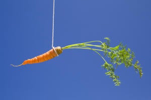 carrot stick incentives money