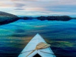 Use the cloud to create open, connected data lakes for AI, not data swamps