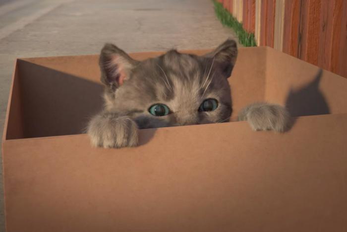 Little Kitten