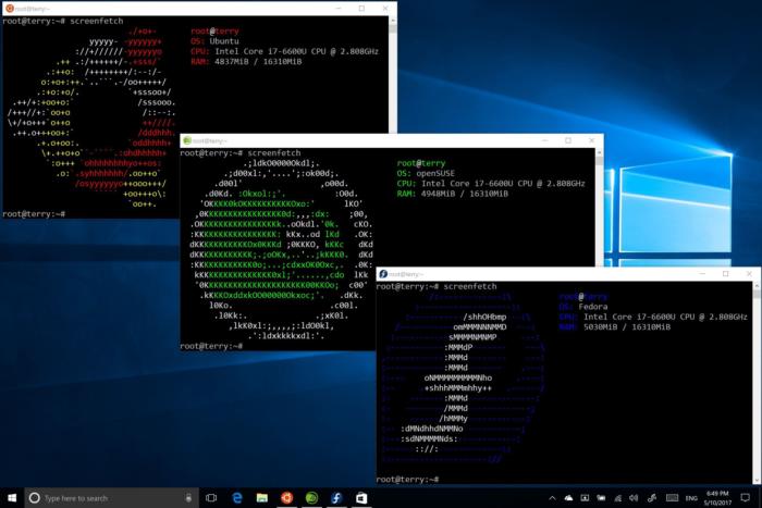 windows 10 suse linux