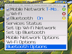 Screen shot of BlackBerry Manage Connections Window