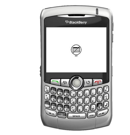 BlackBerry Curve 83xx with 507 Software Error Screen