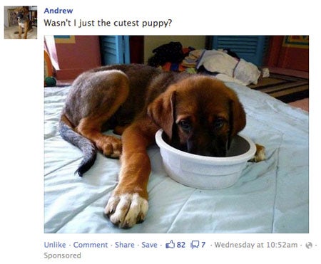 fbpromote2.jpg
