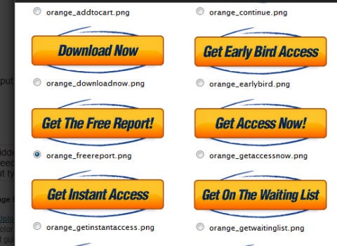 OptimizePress Squeeze Page Opt-in Form