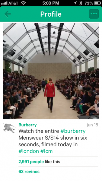 Burberry Vine