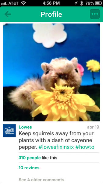 Lowe's Vine