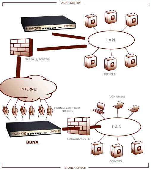 Mushroom Networks