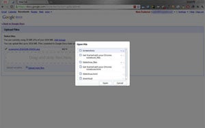 Chrome OS Files