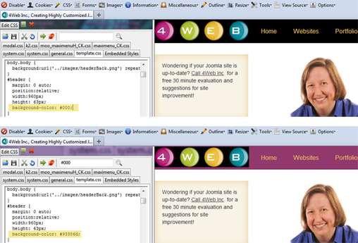 Web Developer add-on